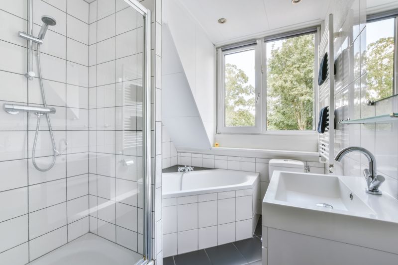 Shower Renovation